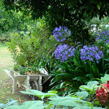 Jacks Cottage At Taunton Gardens - New Zealand.