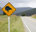 New Zealand, Kiwi