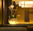 One&Only Hotel, Cape Town, beautiful vase One&Only Hotel, Cape Town, beautiful vase