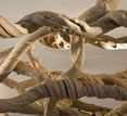 Metropolitan Hotel, Bangkok, decorative twisted root Metropolitan Hotel, Bangkok, decorative twisted root