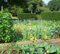 Cotswolds Manor, Shipston on Stour, England - vegetable garden Cotswolds Manor, Shipston on Stour, England - vegetable garden