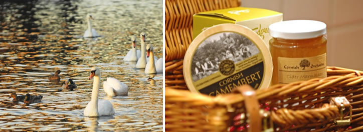 Waters Reach, Lerryn, Cornwall - hamper Waters Reach, Lerryn, Cornwall - hamper
