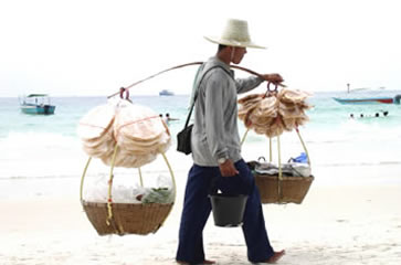 Vietnam, beach food and drink