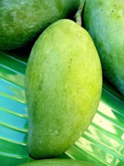 Green mango