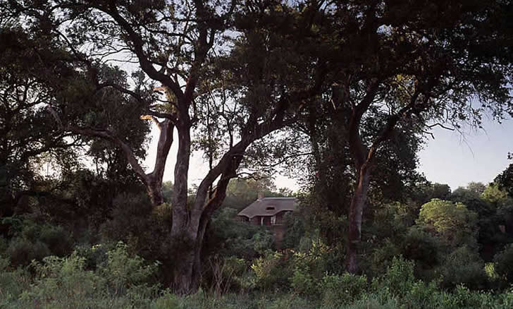 Singita Ebony, Kruger National Park Singita Ebony, Kruger National Park