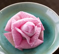 Shinta Mani Hotel, Siem Reap, Cambodia - lotus flower Shinta Mani Hotel, Siem Reap, Cambodia - lotus flower