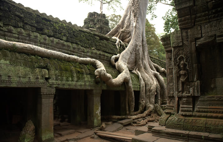 Shinta Mani Hotel, Siem Reap, Cambodia - Shinta Mani ruins