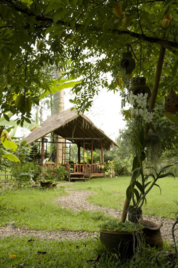 Chiang Dao Nest, Chiang Dao, Thailand - lapa