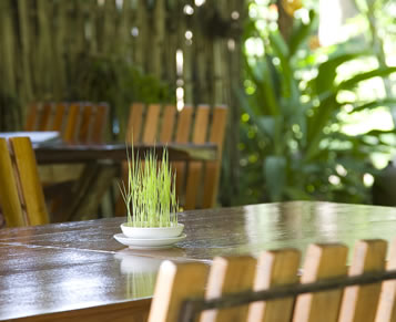 Chiang Dao Nest, Chiang Dao, Thailand - table decoration